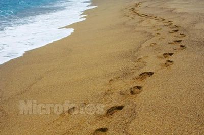 脚印图片 沙滩上的脚印图片
