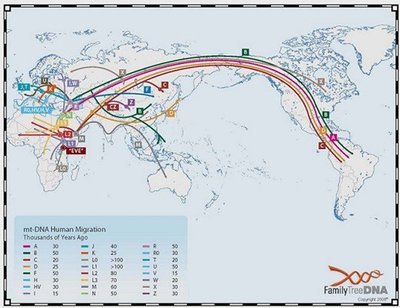 中国人的起源 中国人是起源非洲吗