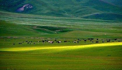 中国最美的十大草原（图） 中国最美的六大草原