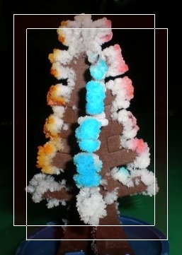 在家做实验（一）－－神奇的圣诞树 十大最神奇的化学实验