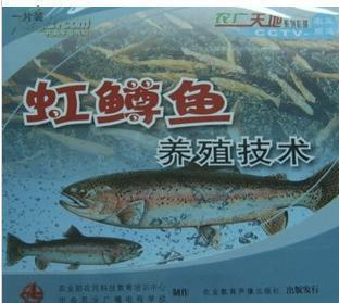 虹鳟鱼养殖技术 金鳟鱼的养殖技术