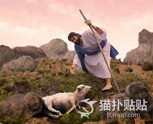 主耶稣讲的比喻-14-迷羊的比喻 耶稣撒种的比喻