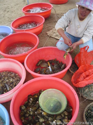 茂名中国第一滩狂食海鲜 茂名海鲜批发市场