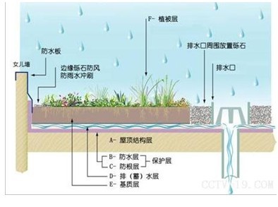 城市雨水收集与处理系统-闫苗苗 雨水收集利用系统