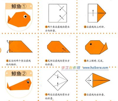 中国金鱼品种图解大全〔上〕 小金鱼折纸大全图解