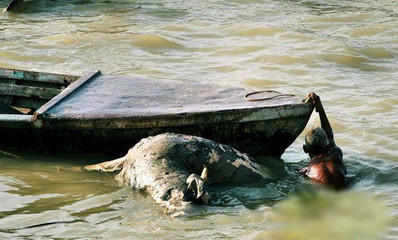 实拍恐怖印度水葬风俗满河漂浮尸，都把河搞得不成河样了... 汤满河
