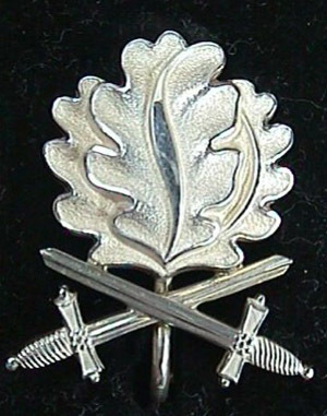 德军多种十字勋章介绍１（组图） 德军铁十字勋章