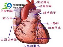 心脏X综合征患者的治疗 心脏肌桥综合征
