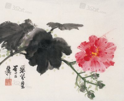 芙蓉花图片欣赏 国画芙蓉花图片