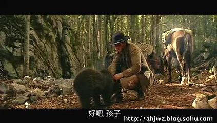 美国影片：《子熊故事》（人与熊之间的真实故事）