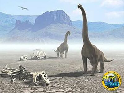 恐龙灭绝的原因新说--一场性传染病使恐龙灭绝 恐龙灭绝的原因是什么