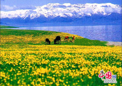 新疆，那拉提之空中草原 新疆那拉提草原图片