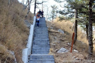 朱雀森林公园里的高山草甸和石海 高山草甸