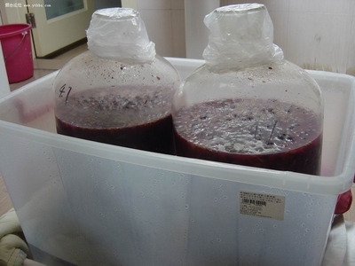 自酿葡萄酒详细过程 自酿葡萄酒发酵过程