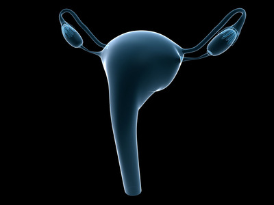 子宫位置异常/子宫后位简介 子宫异常不孕