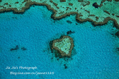 【澳大利亚】大堡礁，用一眼蓝见证永世的爱 澳大利亚大堡礁守岛人