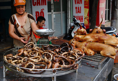 [转帖]高清组图：探访越南首都著名的狗肉街 【猫眼看人】 猫眼看人 电影