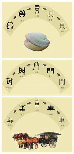 汉字的演变过程 中国汉字的起源和演变 汉字的起源与演变视频