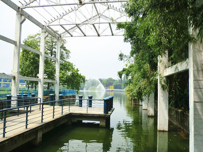 中山-岐江公园:一个旧船厂改造而成的公园