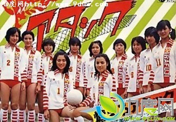 日本连续剧《排球女将》 全36集 日本电视剧排球女将