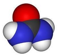 尿素分子内存在四中心六电子的离域大派键 尿素的分子量