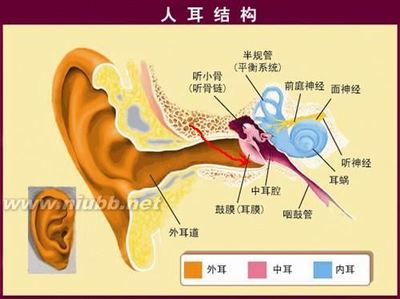 从患者角度谈治疗中耳炎耵聍栓塞的经验和教训（2） 耳道耵聍栓塞