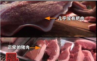如何识别“瘦肉精猪肉”（图） 瘦肉精的猪肉