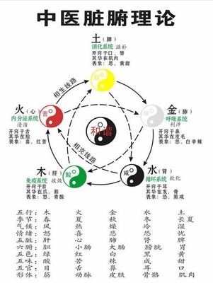 阴阳五行学说详解 阴阳五行学说 中医