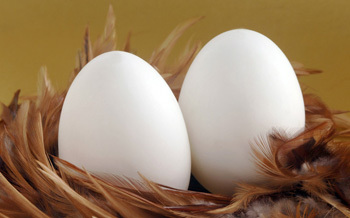 鹅蛋的药用价值 哪些人群不能吃鹅蛋 鹅蛋药用价值