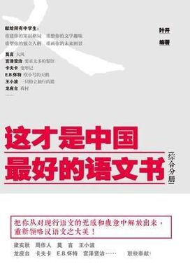 关注叶开《这才是中国最好的语文书》推荐陈晓鸥 叶开推荐的国学经典