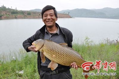 蒙古钓鱼 钓100斤的大鲤鱼视频