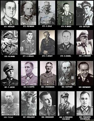 德意志第三帝国橡叶骑士铁十字勋章获得者名单和照片[47P] 橡叶生菜