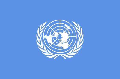 联合国安全理事会常任理事国 安理会15个常任理事国