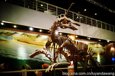 博物馆奇妙夜：探秘中国古动物馆