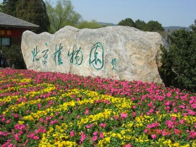 北京植物园 植物园活动策划