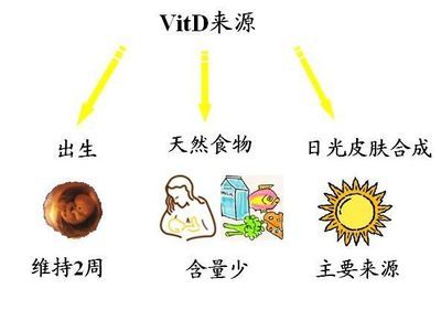 中国成年人如何正确补充维生素 龙鱼如何补充维生素