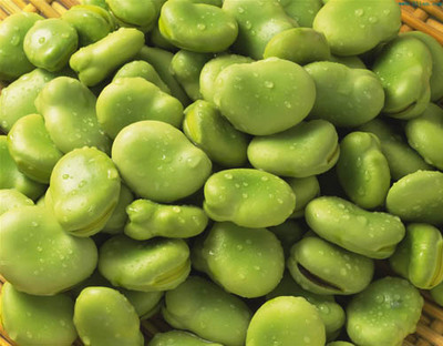 吃蚕豆有什么好处,吃蚕豆的好处 吃蚕豆有什么好处