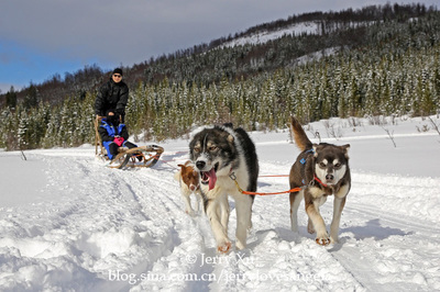 【北欧】跟着二货们飞驰在冰雪世界体验挪威冬季狗拉雪橇 北欧挪威传统服饰参考