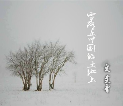 《雪落在中国的土地上》赏析 落雪刘兰鹏文章赏析