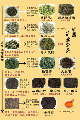中国茶叶分类大全 茶的种类