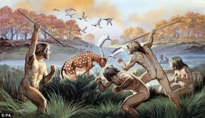 人类的起源 人类的祖先