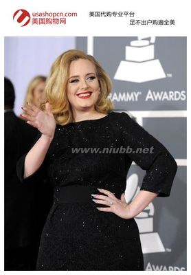 第54届格莱美奖完美落幕Adele毫无疑问揽获六奖成最大赢家 adele格莱美破音