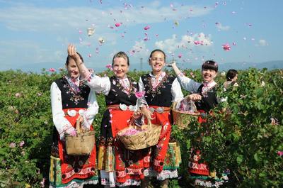 保加利亚玫瑰节 保加利亚玫瑰谷