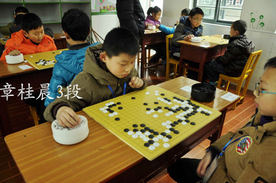 2014年浙江省“明仕杯”少儿围棋升段定段赛成绩表3段组 少儿围棋教学对弈平台