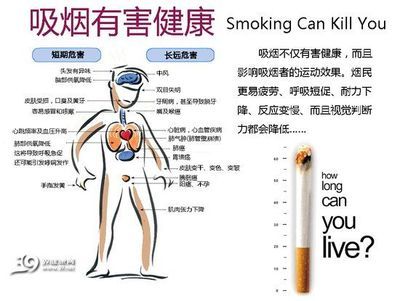 吸烟对人体的危害及环境的影响（原创） 环境污染对人体的危害