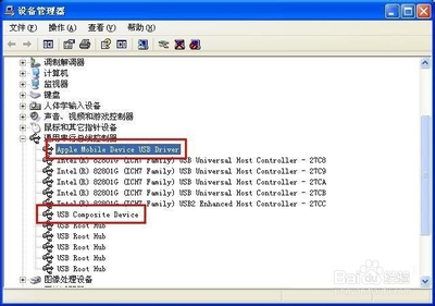 Apple Mobile Device驱动安装解决方案 apple mobile usb驱动