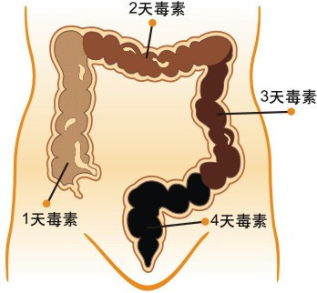 教你早晨如何清肠排除宿便！ 教你如何清肠排毒