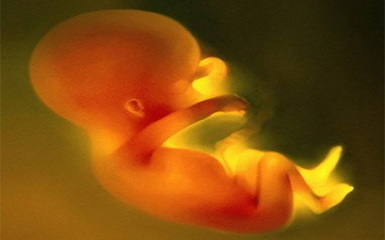 怀孕第七个月胎儿和准妈妈的症状 胎儿缺氧孕妇的表现