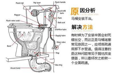 座便器堵了怎么办 马桶堵了怎么通 座便器堵了怎么通