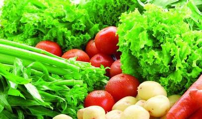 种植哪些越夏蔬菜效益高 夏季蔬菜种植